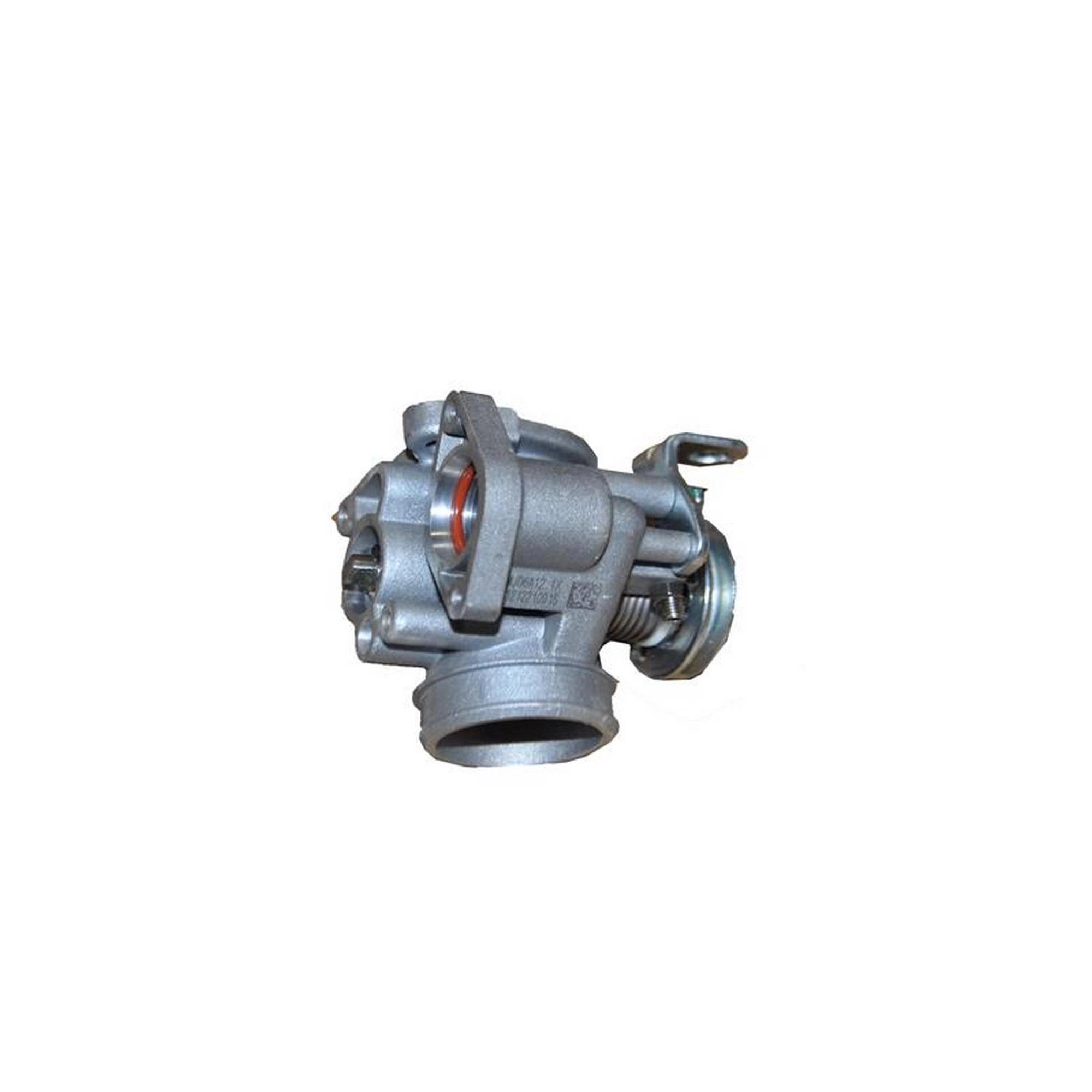 SKYJET BAYBERRY 125 GAZ KELEBEĞİ BOŞ [RAVIDA MAX] #SJ 0198